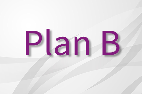 Supplement Plan B