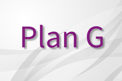Supplement Plan G
