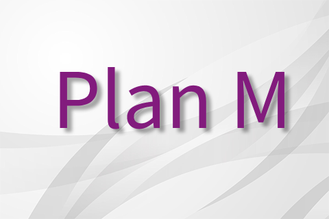 Supplement Plan M